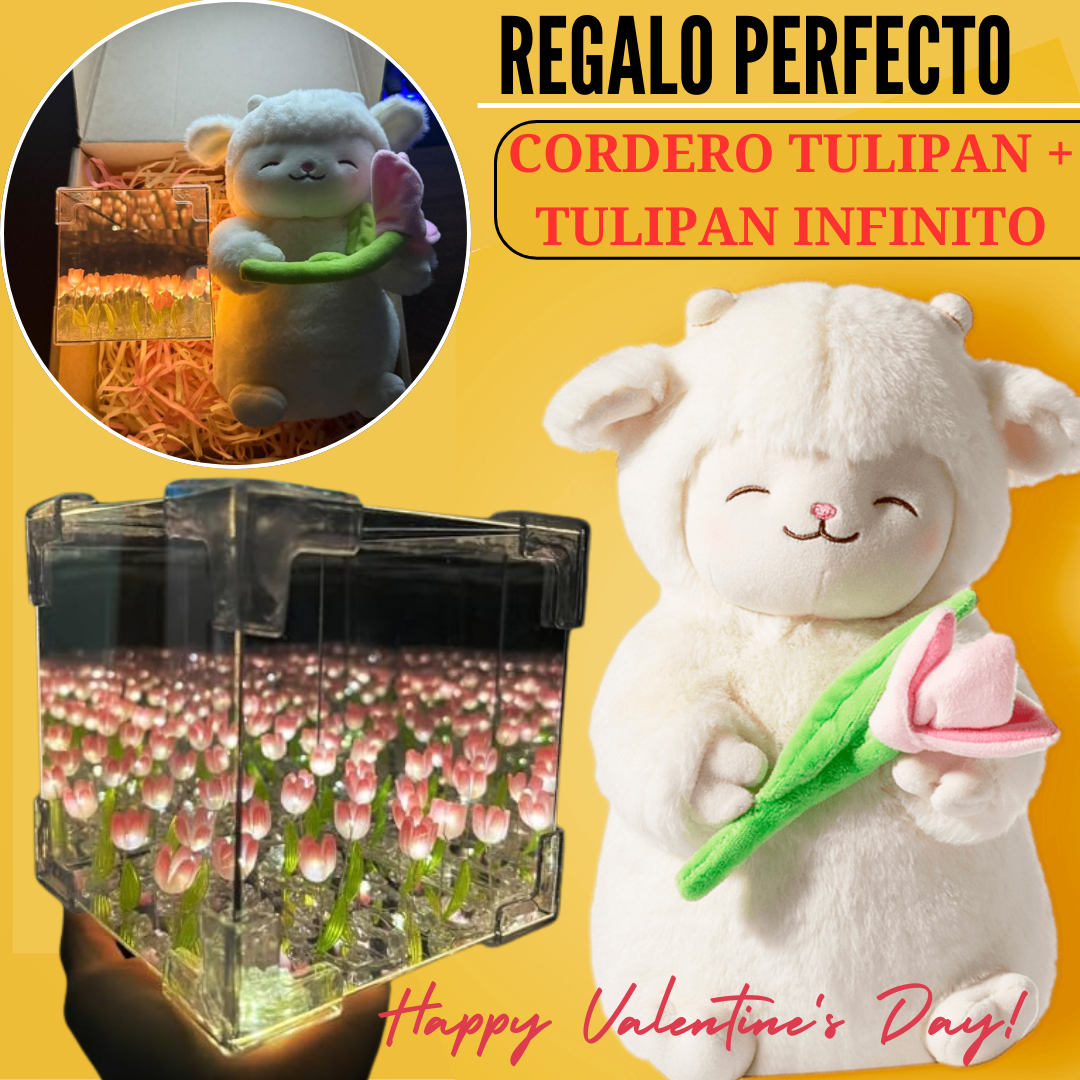 Peluche Corderito Tulipan + Tulipanes Infinito Caja