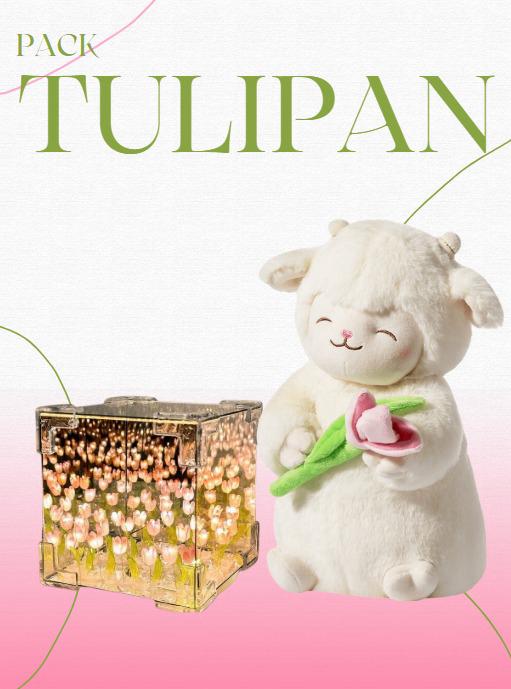 Peluche Corderito Tulipan + Tulipanes Infinito Caja